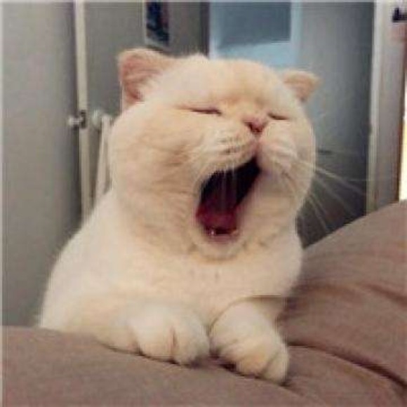liongthanhngad